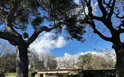 maison 8 pièces à Opio (06650) — photo 35