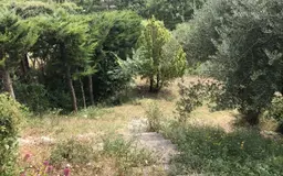 maison 6 pièces à Tourrettes (83440) — photo 19