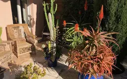 appartement 4 pièces à Cannes (06400) — photo 5