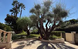maison 10 pièces à Antibes (06600) — photo 13